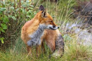 マッチングアプリをやめた理由とその後の出会い方は？