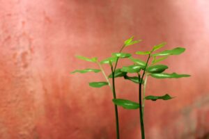 婚活をやめた後に見つけた幸せとは？