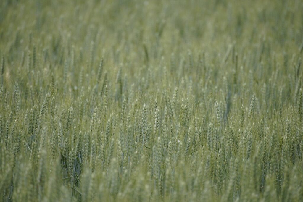 田舎でのマッチングアプリ利用のメリットは？