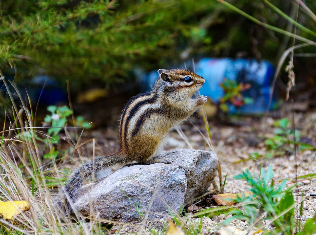 with年齢層に合わせた最適なイベント企画は？