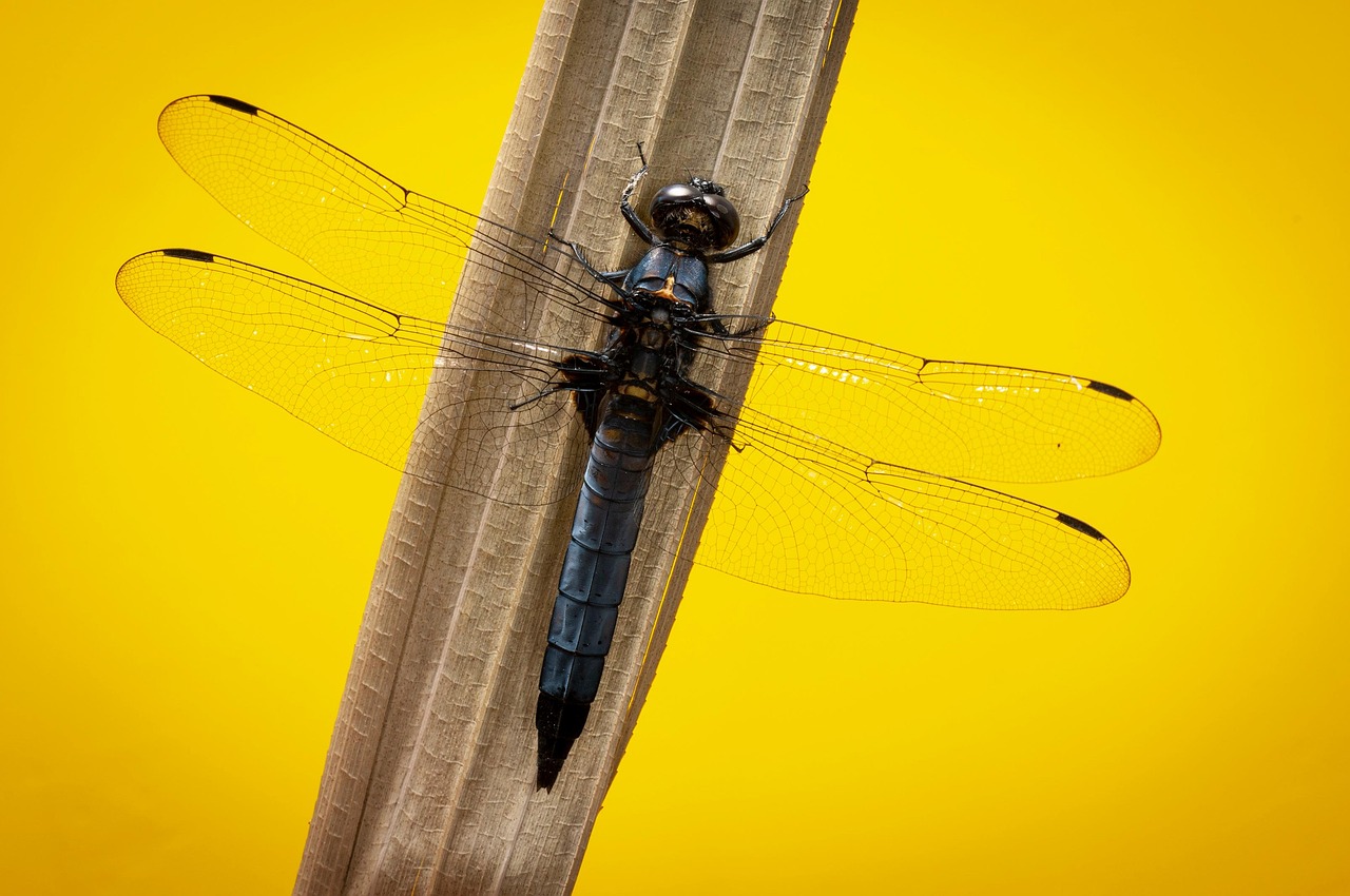 ペアーズでの初デートにおすすめの服装は？