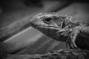 マッチングアプリで本気の出会いを成功させる方法は？