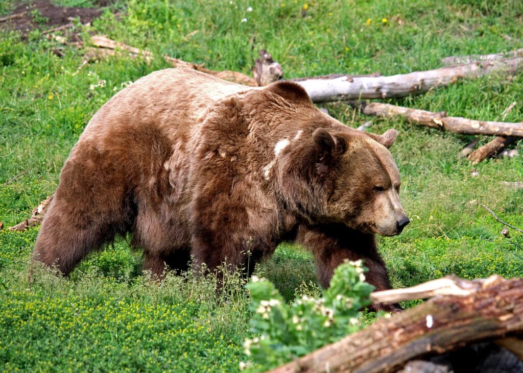 出会いチャット業者の見分け方はどのようにするべき？