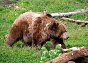 田舎での出会い系利用におすすめのポイントは？
