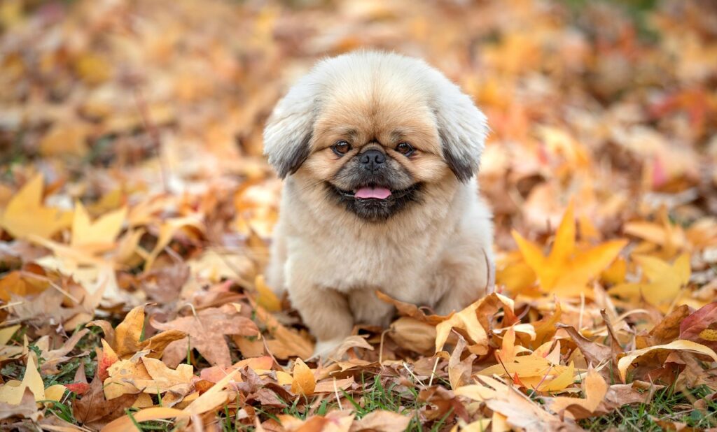 マッチングアプリで初対面の相手に好印象を与える服装は？