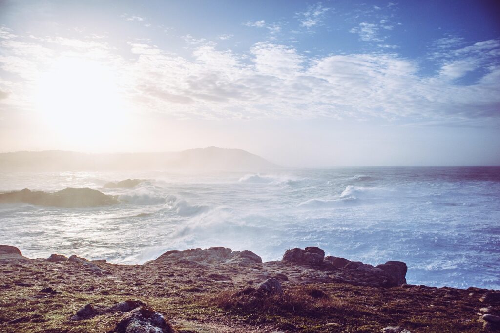 公務員が多い婚活アプリはどれがおすすめ？