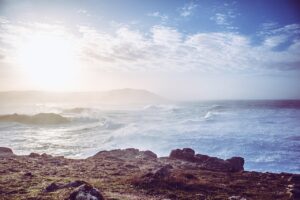 公務員が多い婚活アプリはどれがおすすめ？