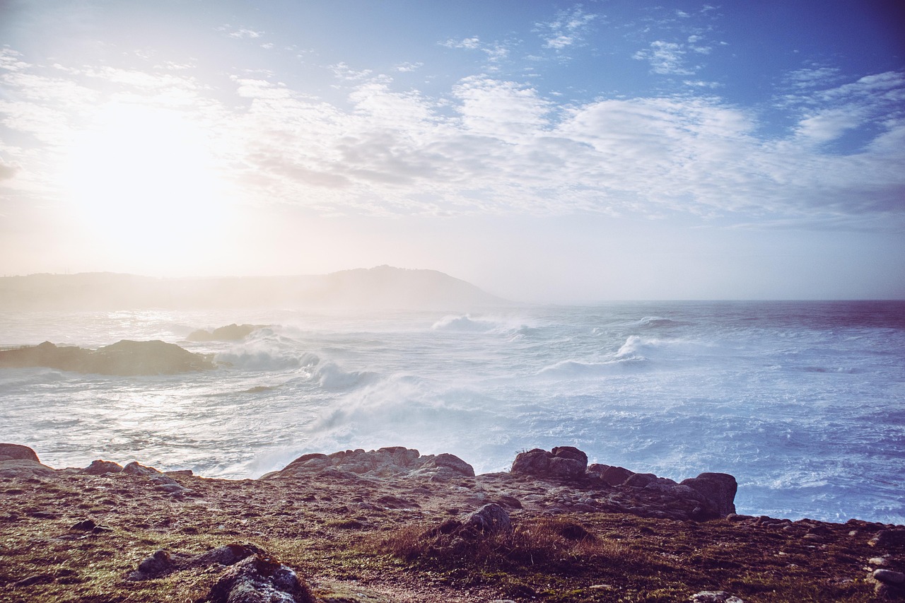 公務員が多い婚活アプリはどれがおすすめ？