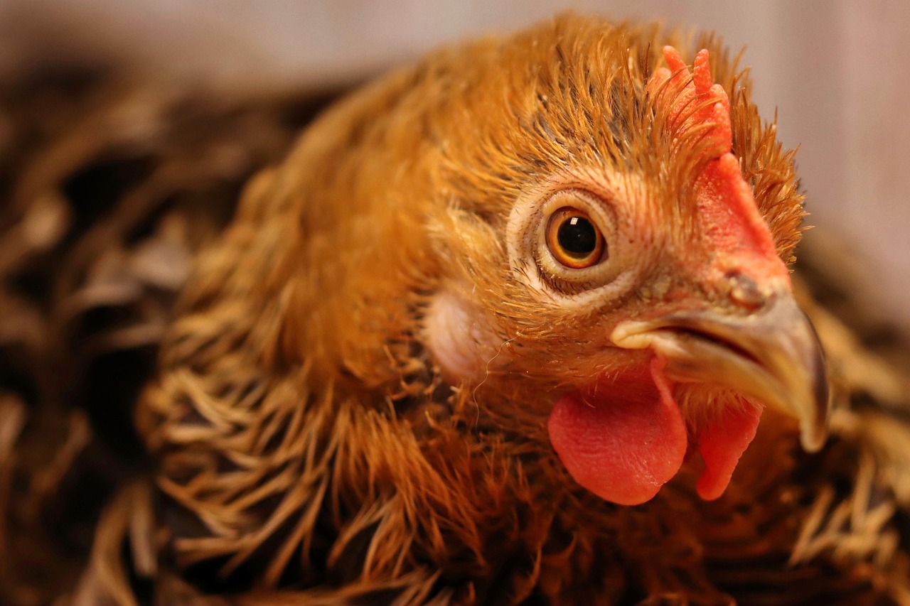 婚活アプリでデートに誘われない理由とは？