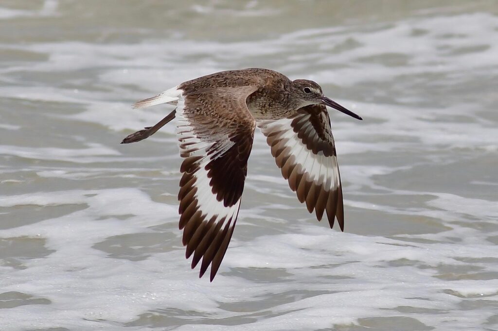 過疎地での婚活におすすめのアプリは？