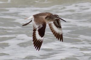 過疎地での婚活におすすめのアプリは？