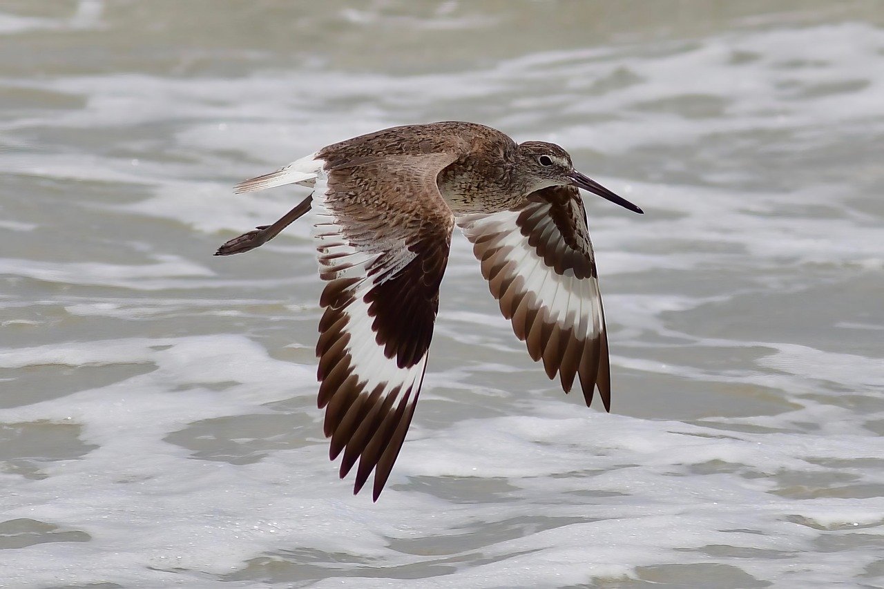 過疎地での婚活におすすめのアプリは？