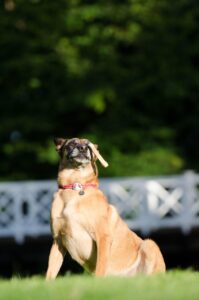 20代の婚活アプリがうまくいかない理由とは？