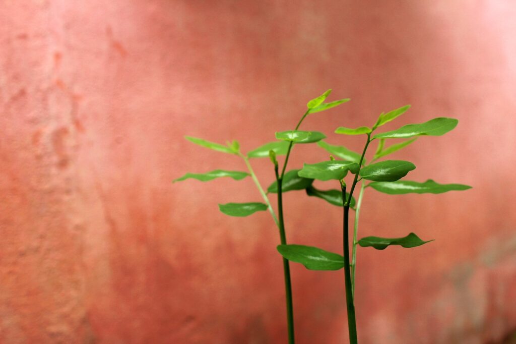 危ない婚活アプリを見分けるためのポイントは？