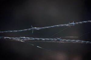 婚活アプリには年齢制限があり、どのように活用すれば良いのか？