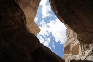 婚活アプリの年齢別比較表はどこで見られる？